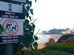 No plan for enforcing enviro crime from Pembrokeshire Council