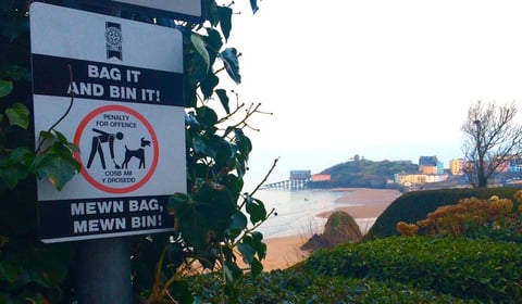 Tenby councillors discuss ongoing dog fouling issues