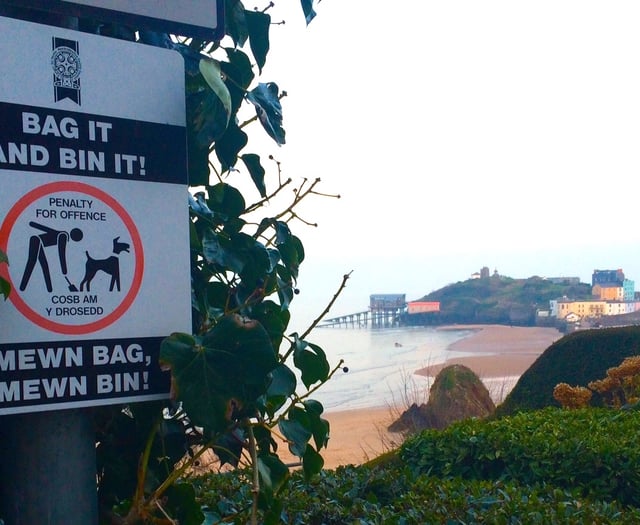 Pembrokeshire Council ranks 8th in UK dog poo complaints