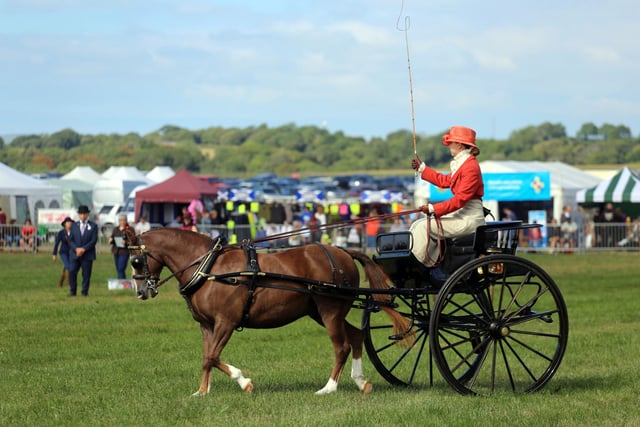 Date set for County Show 2023