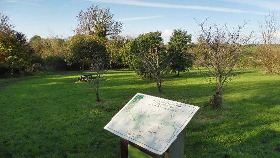 Join East Williamston Community Council: six positions open