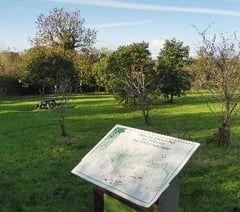 Join East Williamston Community Council