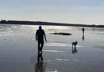 Dog beach restrictions ‘not good for tourism’ of Tenby