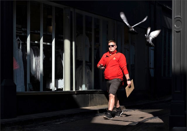 Postman and pigeon