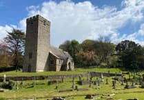 Join Saundersfoot's efforts to gently encourage more wildlife