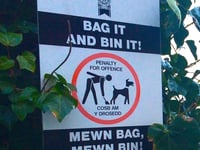 Carmarthenshire Council continues to tackle environmental offences