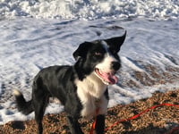 Have you seen Bruce?
