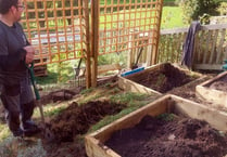 Pembroke ‘Dig for Victory’ garden gets underway