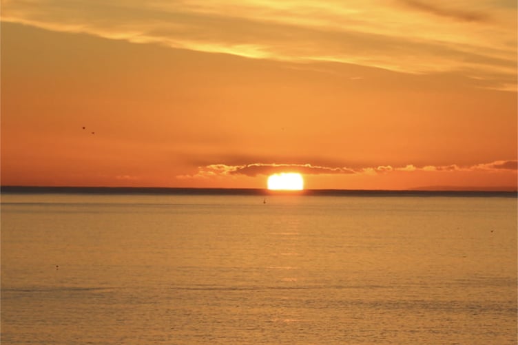 For more pictures or to share your own, join our Facebook group: Picture This: Tenby Observer photography club.