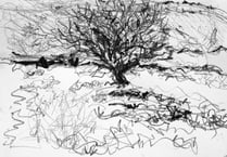 Into the Landscape at Oriel Q
