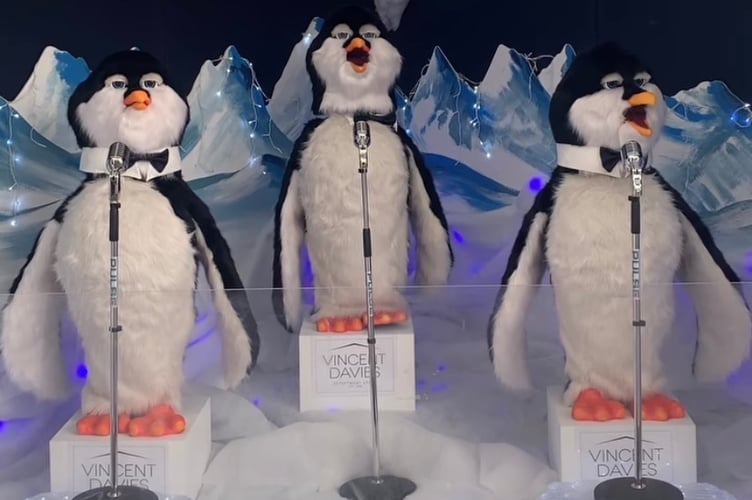 Vincent Davies penguins