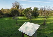 News from East Williamston Community Council