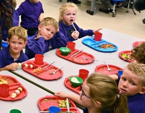 School dinners