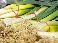 Activity Corner: Tenby Museum presents St David’s Lovely Leek Day