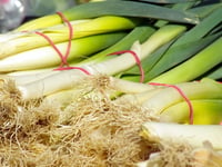 Activity Corner: Tenby Museum presents St David’s Lovely Leek Day