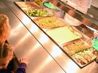Imported chicken in Welsh Schools controversy