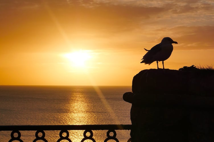 Tenby sunrise