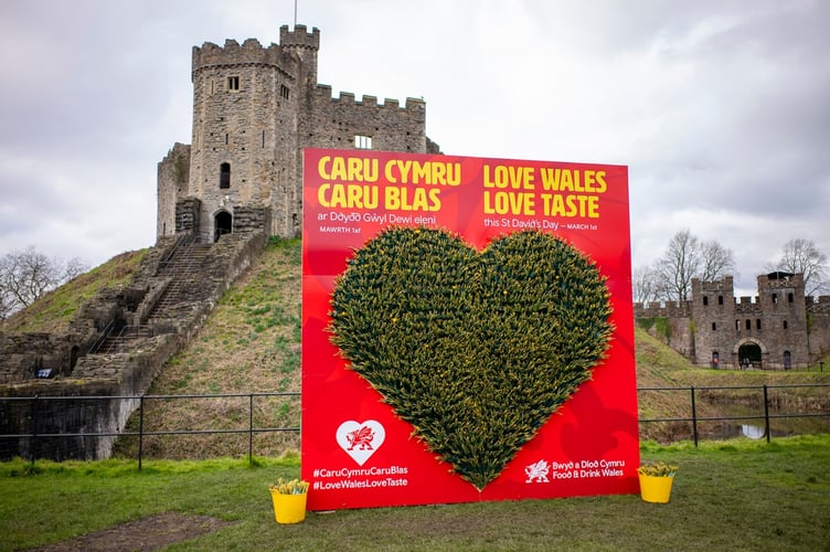 Cardiff Castle daffs
