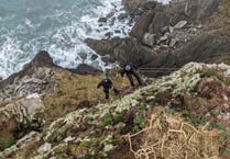 Ewe watch out! RSPCA rescues two sheep stranded on Pembrokeshire cliff
