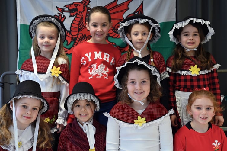 St David's Day