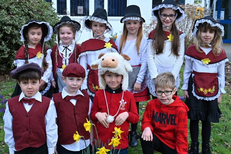 St David's Day