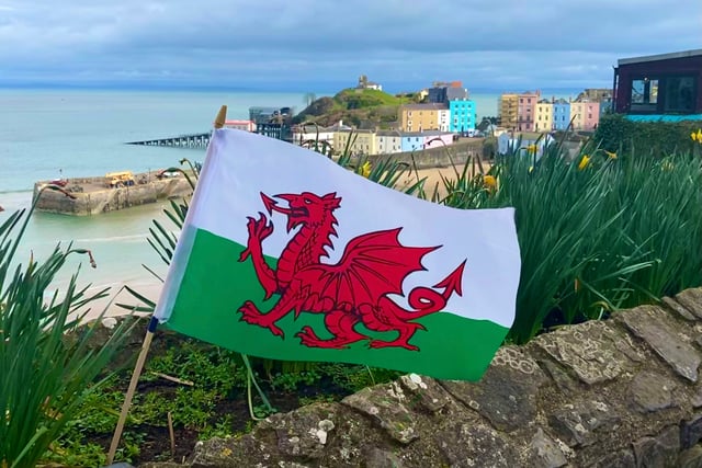 Plaid Cymru pledges 35,000 new jobs by boosting Welsh procurement