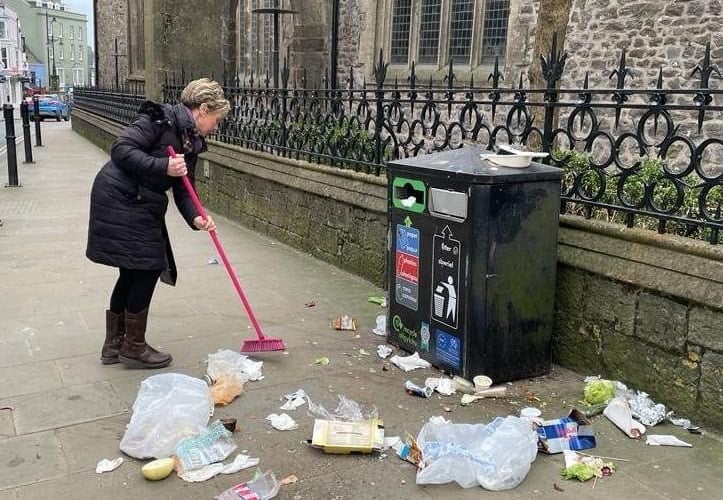 Tenby litter