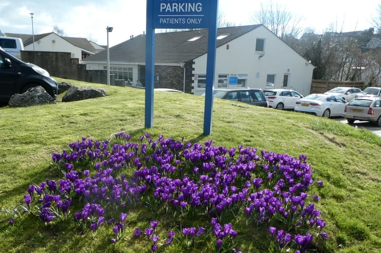 Saundersfoot crocus