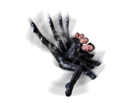Get your Pulse racing with National Dance Company Wales