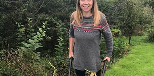 Join Manorbier Gardening Club for Wales Seed Hub talk