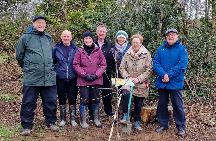 Blossom watch Haverfordwest