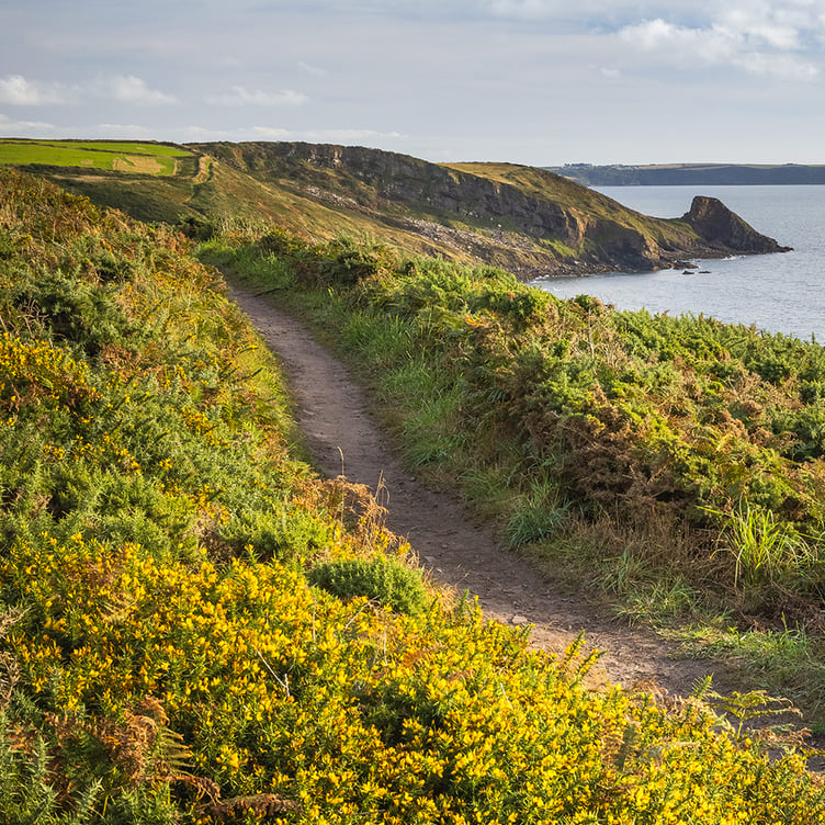Newgale - before the wildfire