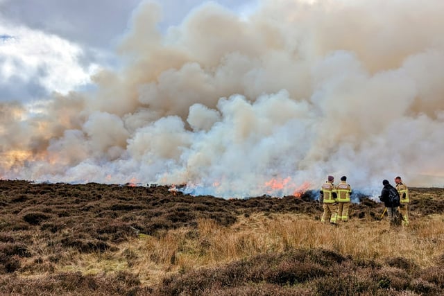 Pembrokeshire Community Fire Safety team prepares for wildfire summer