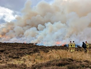 Very high wildfire risk declared across Pembrokeshire Coast