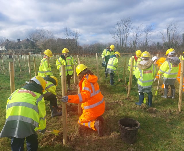 Schools tree planting success on the A40 Improvements Scheme