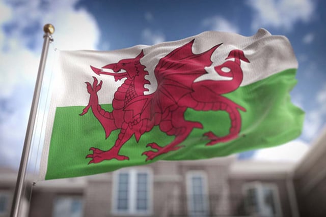 Welsh Conservatives criticise Plaid Cymru's asylum seeker policy