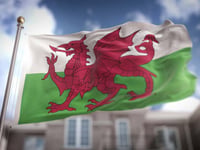 Welsh Conservatives criticise Plaid Cymru's asylum seeker policy