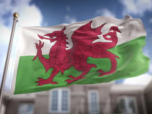 Welsh Conservatives criticise Plaid Cymru's asylum seeker policy