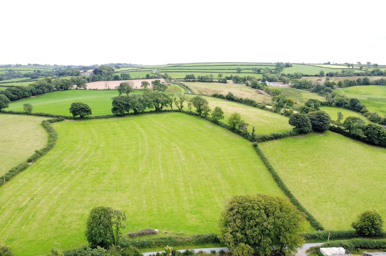 lower end town farm