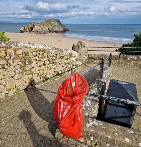 Litter pick