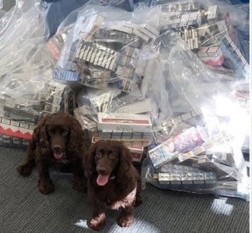 Canine cops