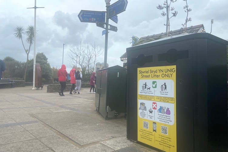 Saundersfoot bins