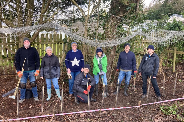 Saundersfoot planting