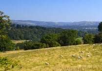 First Wales Wildlife and Rural Crime Strategy to be launched