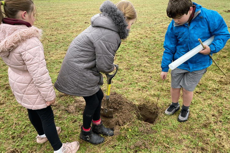 Pupils planting trees