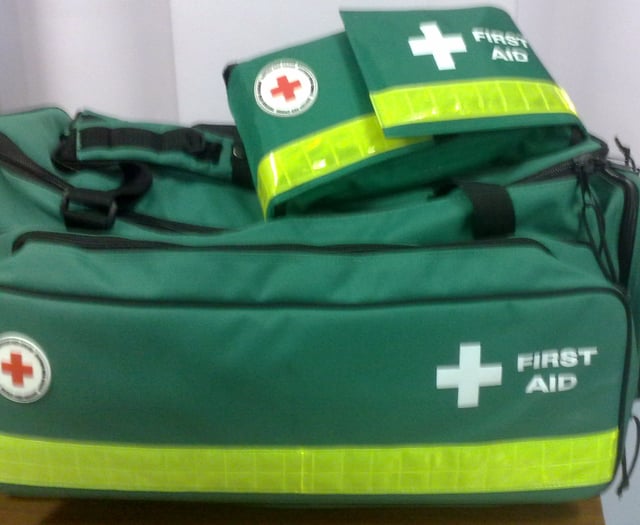 Councillor pushes Epi-pen policy for Pembrokeshire schools