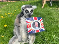 Folly Farm's mix of animals get ready for King's Coronation!