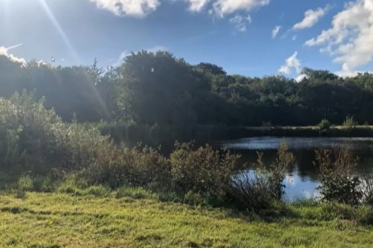 Trout farm plans