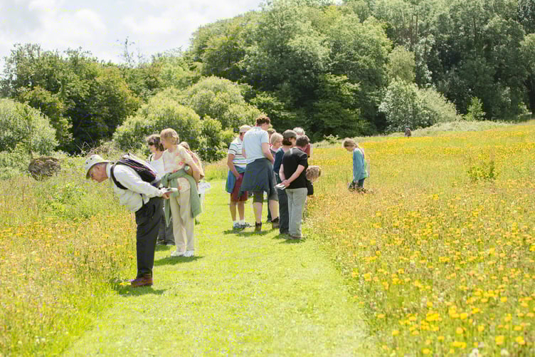 National Botanic Garden of Wales