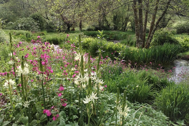 The Wild Garden at Cae Hir, Ceredigion
